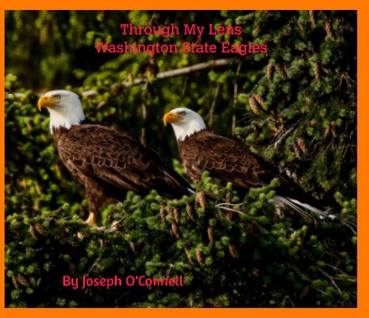 Through My Lens - Washington Eagles book cover
