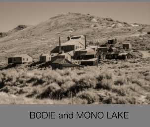 BODIE and MONO LAKE book cover