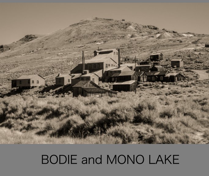 View BODIE and MONO LAKE by mic warmington