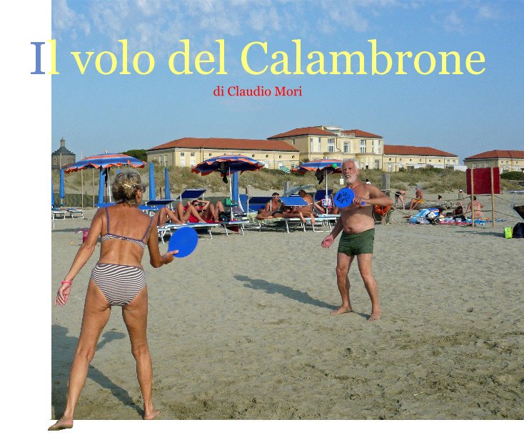 View Il volo del Calambrone by Claudio Mori