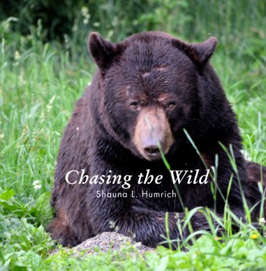 Chasing The Wild book cover
