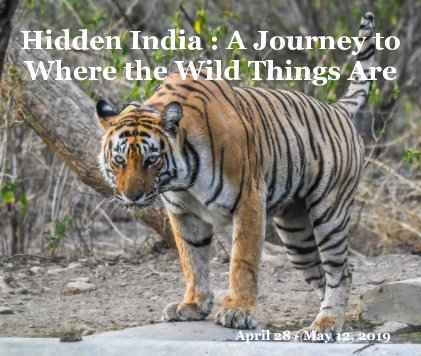 Hidden India : A Journey to Where the Wild Things Are book cover