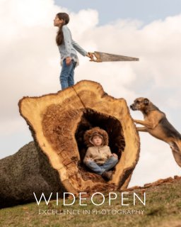 WideOpen book cover