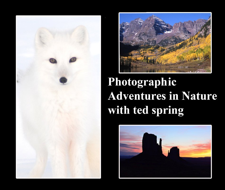 View ' Photographic Adventures in Nature' by Ted Spring