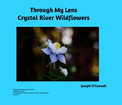 Through My Lens: Crystal River Wildflowers book cover