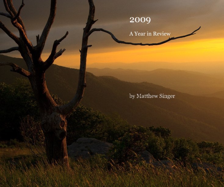 View 2009 by Matthew Singer