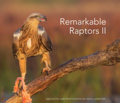 Remarkable Raptors II - Hardcover LRG book cover