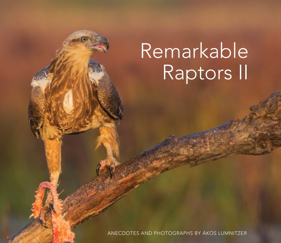 View Remarkable Raptors II - Hardcover LRG by Ákos Lumnitzer