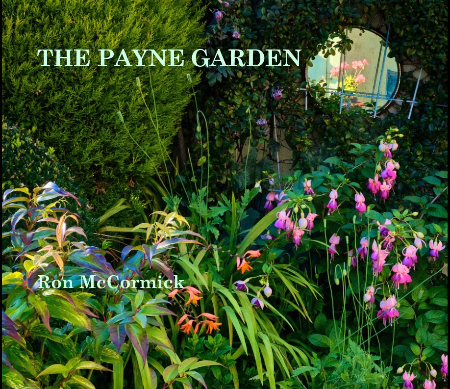 View The Payne Garden by Ron McCormick