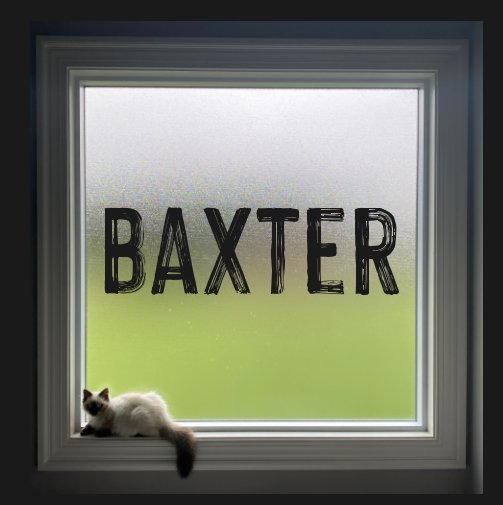 View Baxter by David Rupp