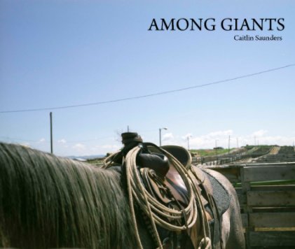 Among Giants book cover