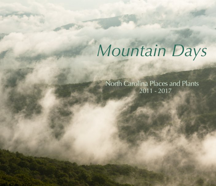 View Mountain Days by Barbara Southworth