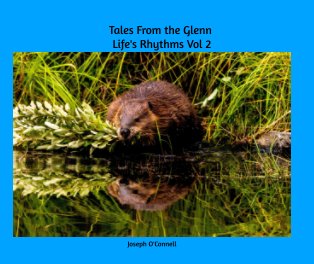 Tales From The Glenn
Life's Rhythms Vol 2 book cover