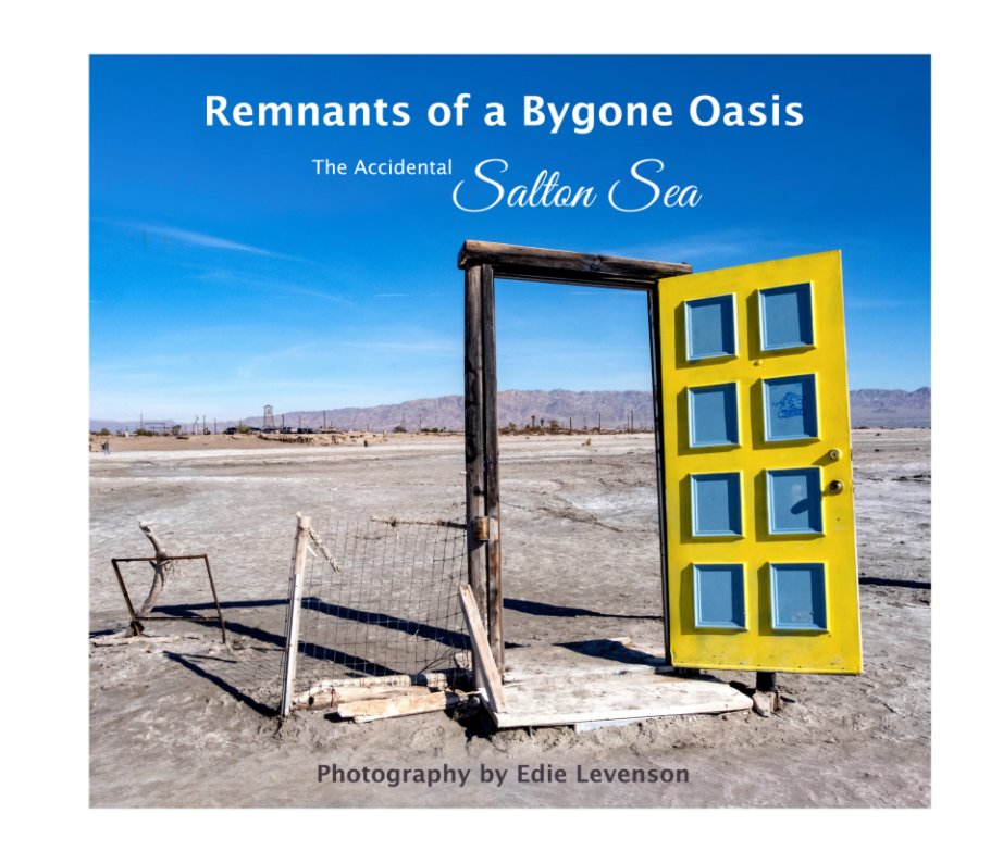 View Remnants of a Bygone Oasis by Edie Levenson