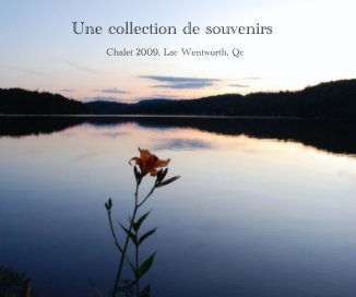 Une collection de souvenirs (v. Côté)) book cover