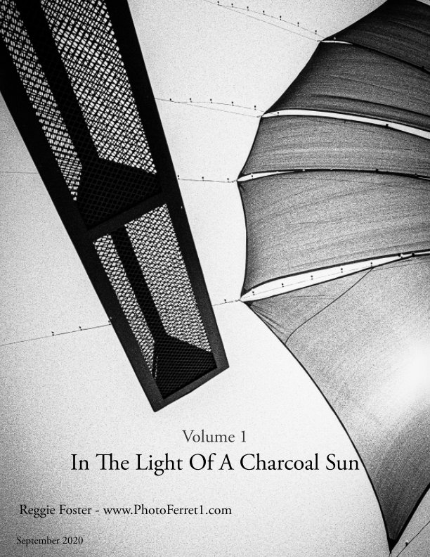View In the Light of a Charcoal Sun by Reggie Foster
