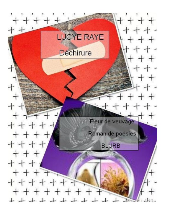 Visualizza Déchirure di LUCYE RAYE