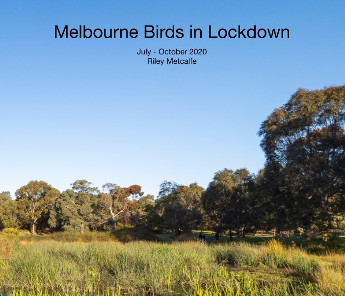 View Melbourne Lockdown Birds by Riley Metcalfe