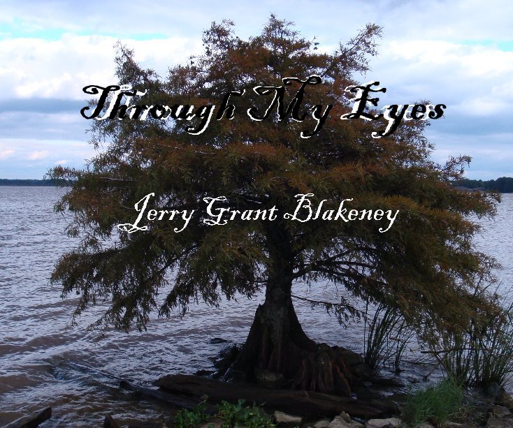 View Through My Eyes by Jerry Grant Blakeney
