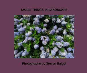 Small Things In Landscape book cover