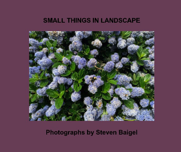 Ver Small Things In Landscape por Steven Baigel