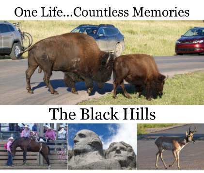 The Black Hills book cover