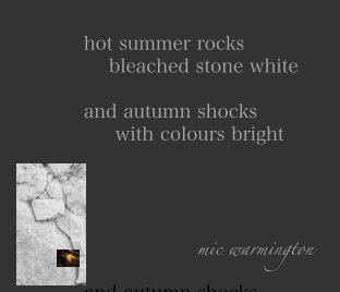 hot summer rocks book cover