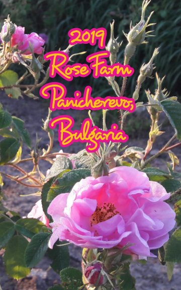 Rose Farm in Bulgaria Book nach Sasha Nealand anzeigen