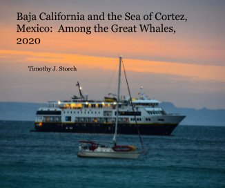 Baja California and the Sea of Cortez, Mexico: Among the Great Whales, 2020 book cover