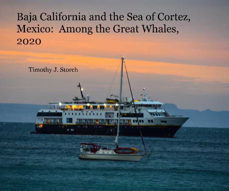 View Baja California and the Sea of Cortez, Mexico: Among the Great Whales, 2020 by Timothy J. Storch