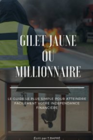 Gilet jaune ou Millionnaire: Fais ton choix ! book cover