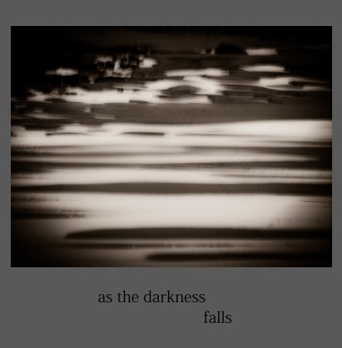 as the darkness falls book cover