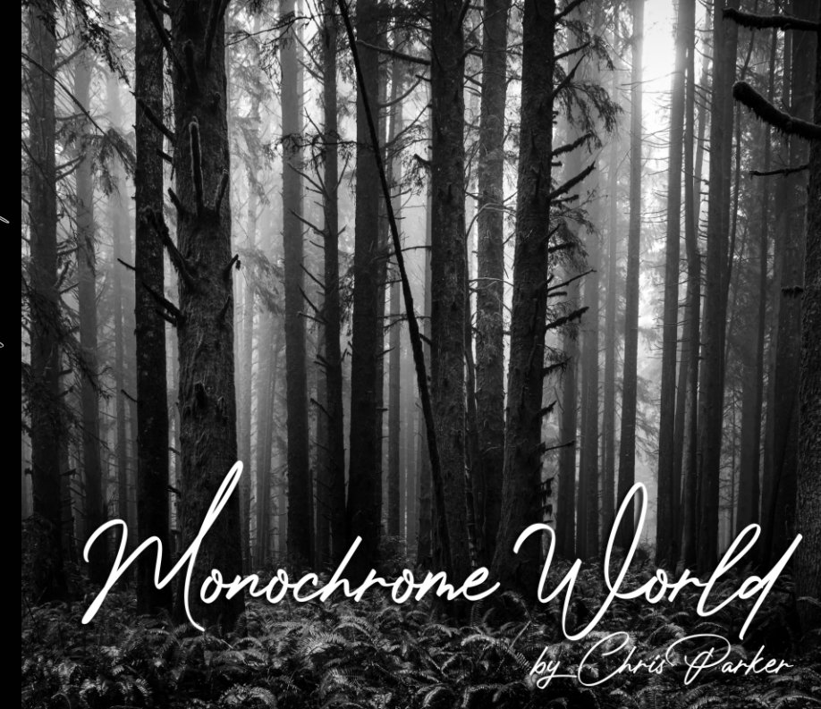 View Monochrome World by Chris Parker