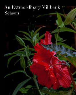 Extraordinary Season book cover