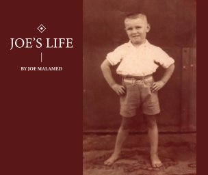 Joe's Life (Softcover) book cover