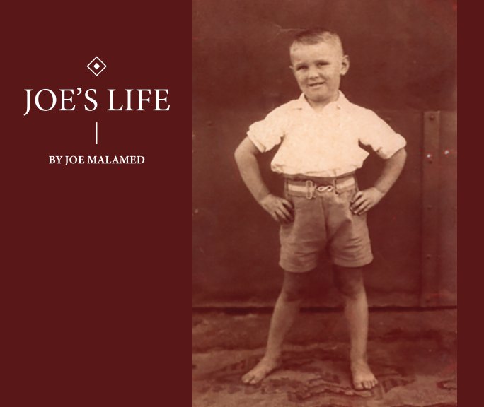 View Joe's Life (Softcover) by Joe Malamed