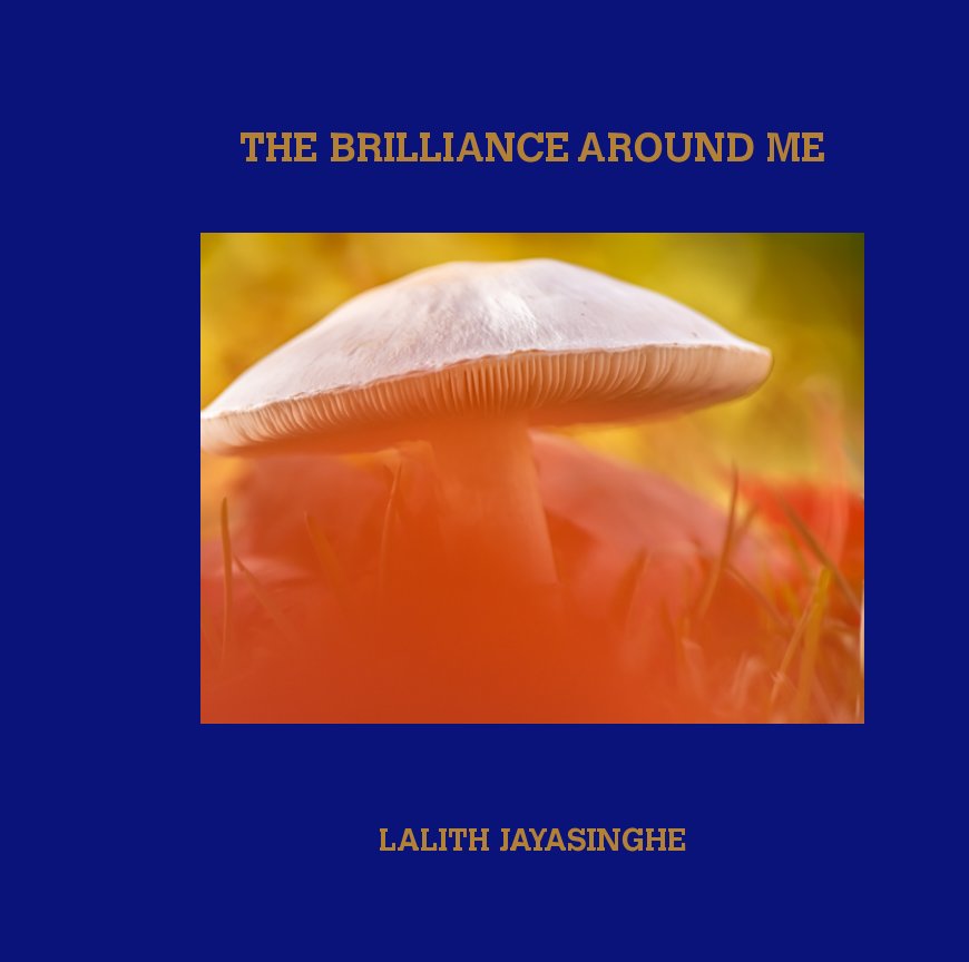 The Brilliance Around Me nach Lalith Jayasinghe anzeigen