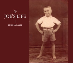 Joe's Life (Hardcover) book cover
