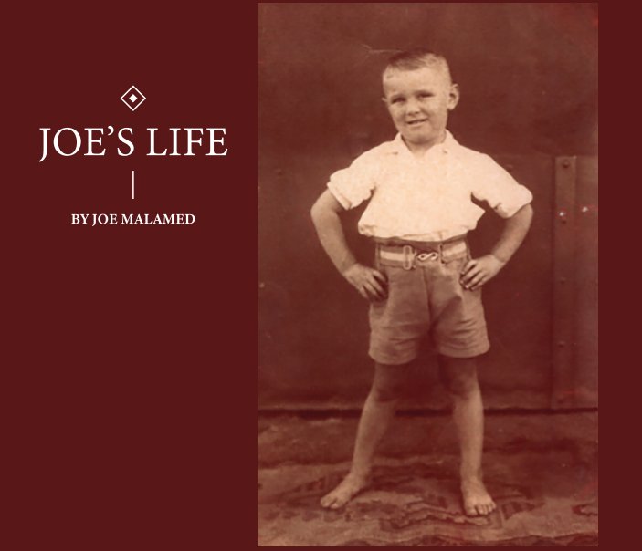 Bekijk Joe's Life (Hardcover) op Joe Malamed