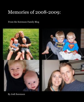 Memories of 2008-2009: book cover