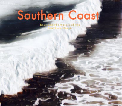 Southern Coast. book cover