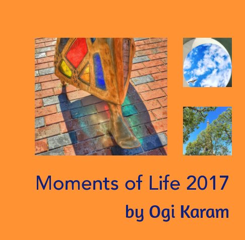 View Moments of Life 2017 by Ogi Karam