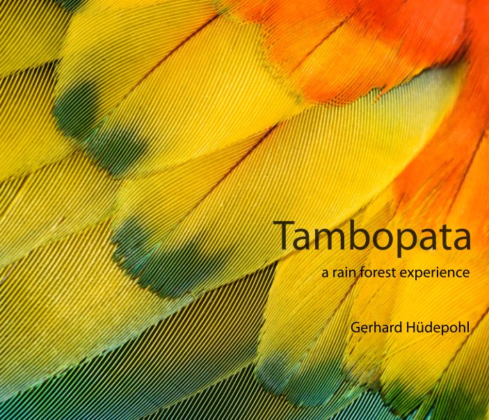 View Tambopata by Gerhard Hüdepohl