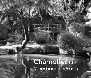 Champfleuri II book cover