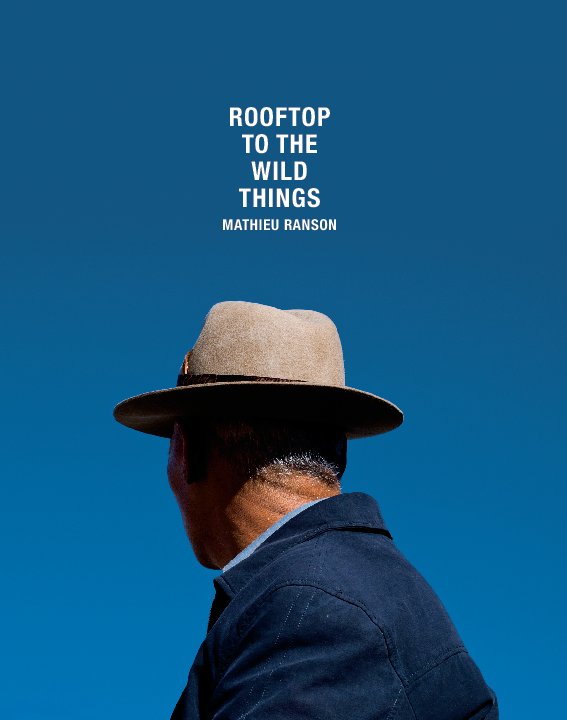 View Rooftop To The Wild Things by Mathieu Ranson