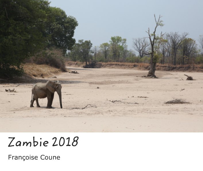 View Zambie 2018 by Francoise Coune