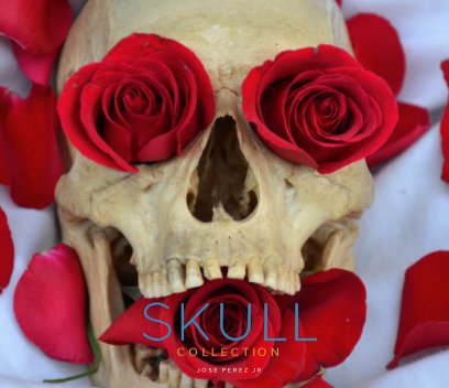 Skull Collection book cover