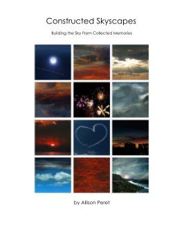 Constructed Skyscapes book cover