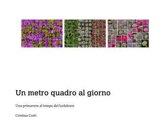 Un metro quadro al giorno book cover