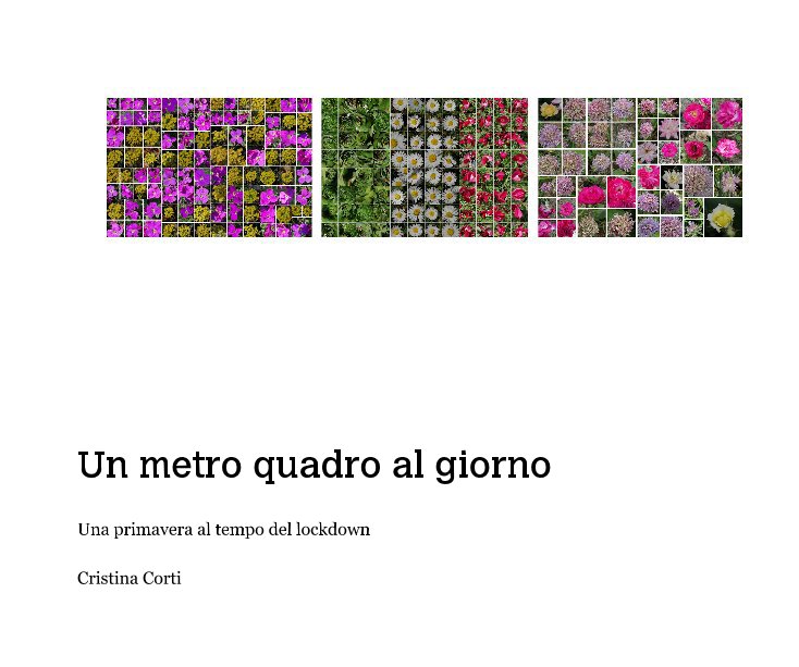 Un metro quadro al giorno von Cristina Corti BlurbBücher Deutschland Un metro quadro al giorno von Cristina Corti BlurbBücher Deutschland